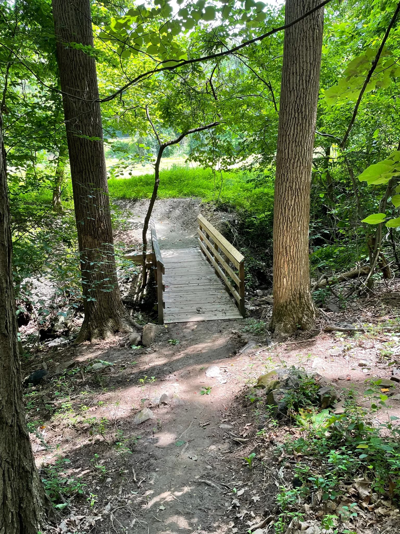 A wooden footbridge on a trail in the Hollofield area of Patapsco Valley State Park